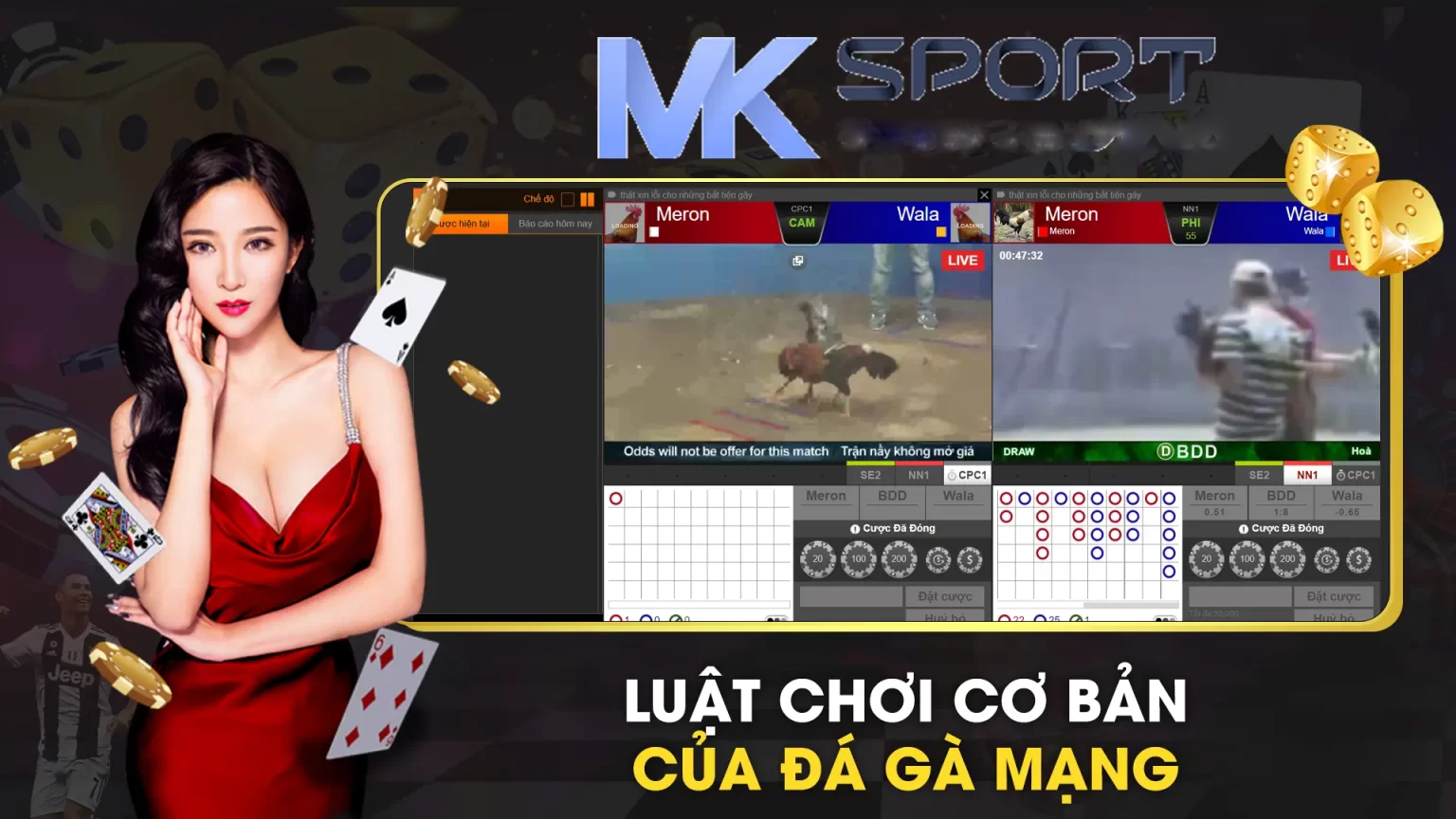 đá gà Mksports 